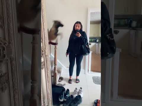 Funny and cute dogs compilation#funnydogs#cute#doglover#doglife#cure#dogshorts#pet#doglife