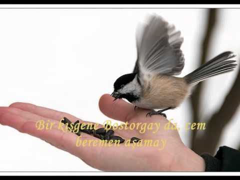 Yasemin Göksu - Bostorğay (Kırım Tatar)