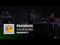 Phoenix - Chloroform [ Live on Letterman, NY, USA - 2013 ]