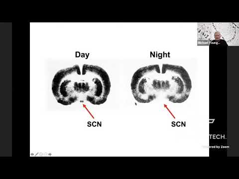 Genes Regulating Sleep and Circadian Rhythms