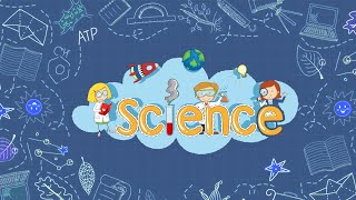 The Paradise International School Video thumbnail