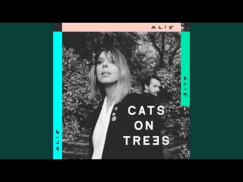 CATS ON TREES - Tendresse
