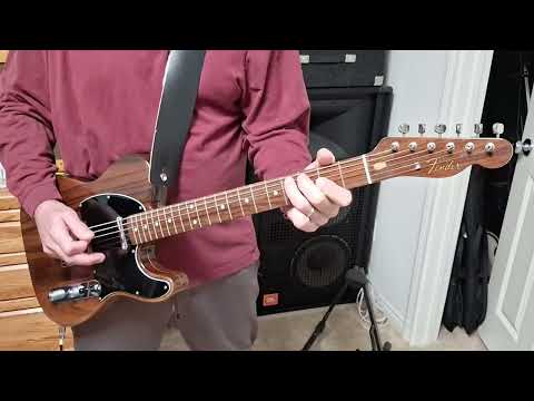 Fender Rosewood Telecaster - Natural image 25