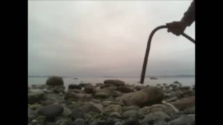 Nature sound samples