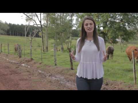 Entrevista Musical RP2000 para todo el mundo