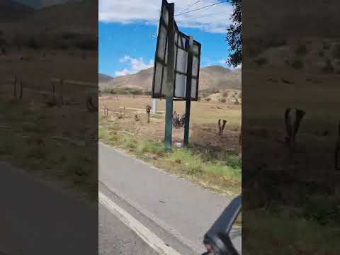 Despidiendo el año con un viaje a ZACAPA!!!