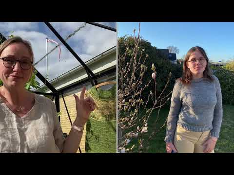 Et kig i Strikkekurven Episode 10