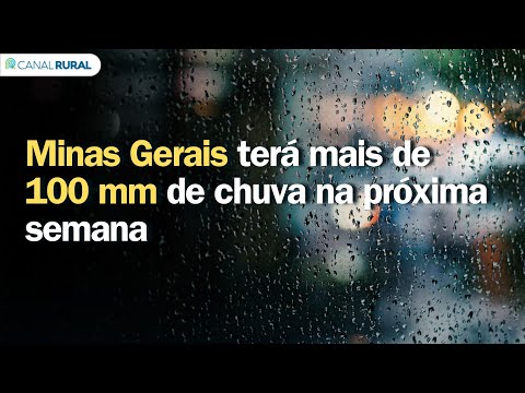 Previsão do tempo | Brasil 15 dias | Minas Gerais terá mais de 100 mm de chuva na próxima semana