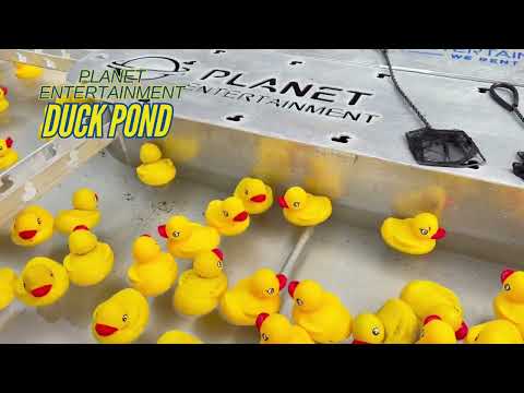 Duck Pond