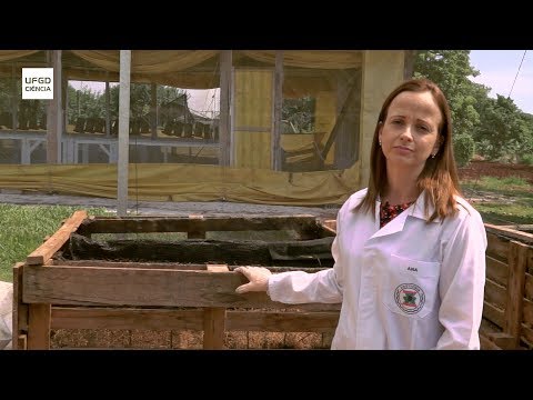 UFGD Ciência 01/2019 - Professora Ana Carolina Amorim Orrico