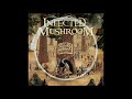 Infected Mushroom - Project 100