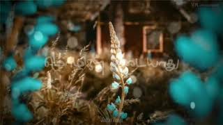 Download lagu Kaatrin Mozhi ... 🎶💕 Melting Melody Lines... For Status Videos mp3