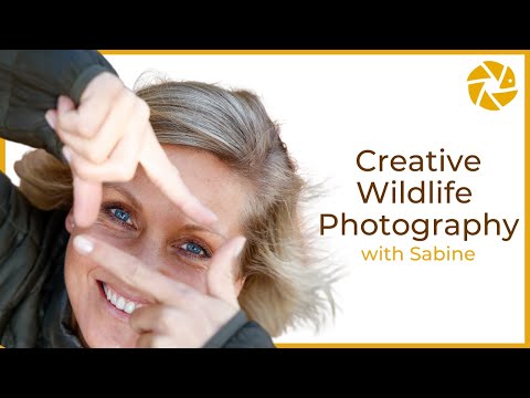 Creative Wildlife Photography Tips with Sabine Stols