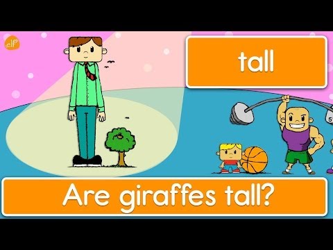 Learn Opposites - Phrases and Patterns for Kids by ELF Learning