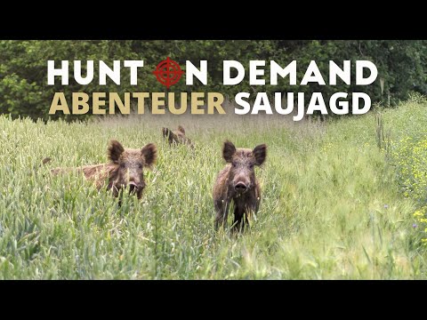 Adventure Boar Hunt – Hunt on Demand Boars FREE EPISODE