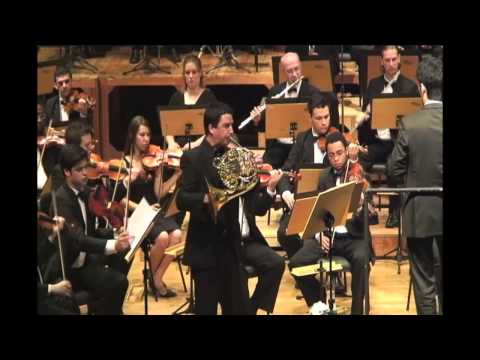 Reinhold GLIÈRE Horn Concerto, op. 91: II. Andante