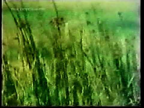 How Green Was My Valley theme tune (1975)