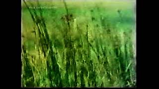 How Green Was My Valley theme tune (1975)