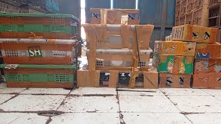 Download lagu FULL BONGKARAN!!! KONIN, PERENJAK ATAS, SRDC, DECU, DLL mp3 Download lagu FULL BONGKARAN!!! KONIN, PERENJAK ATAS, SRDC, DECU, DLL mp3