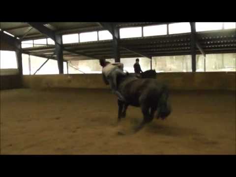 Zislow ostern 2013 fails