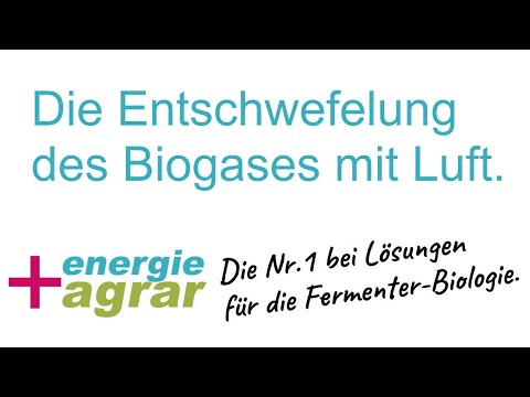 Die Entschwefelung des Biogases mit Luft.