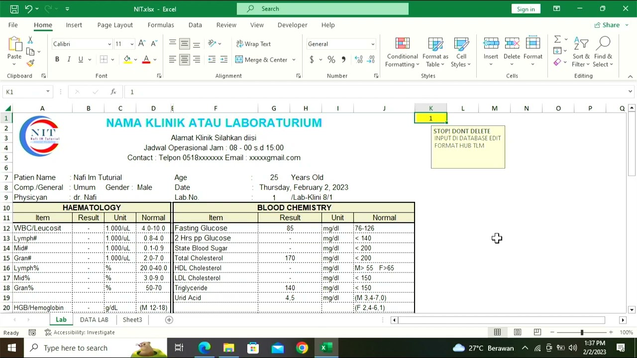 Format Pemeriksaan Laboratorium atau Klinik Otomatis