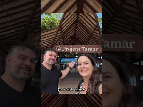 Projeto Tamar - Praia do Forte - BA