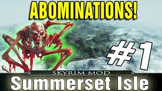 Skyrim Summerset Isles Part 1 - ABOMINATION!!!