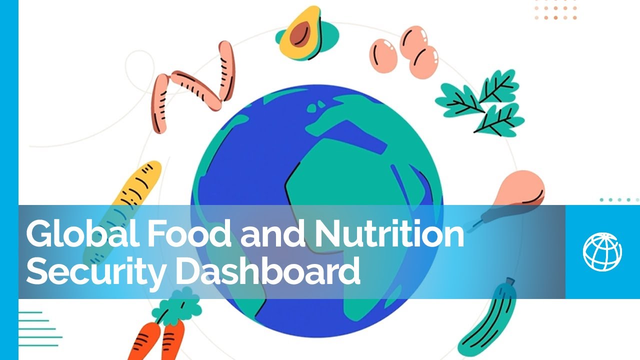 Global Food Crisis Finding Solutions with the Global Food and Nutrition Security Dashboard