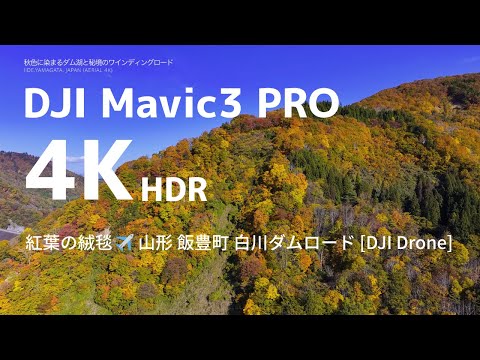 【紅葉の絨毯】 ✈️ 山形飯豊・白川ダムロードの紅葉｜山形県飯豊町