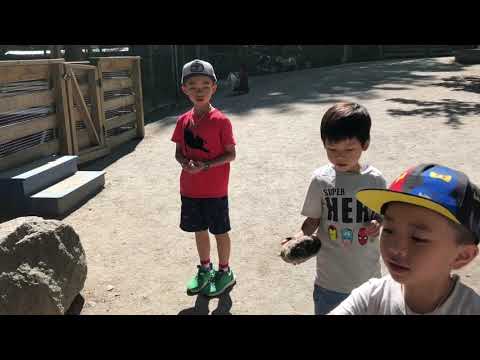 Ambs Around The World - Queens Park, Canada