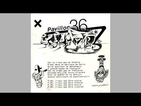 |Bérurier Noir| Pavillon 36 | (HD) (Remastered)