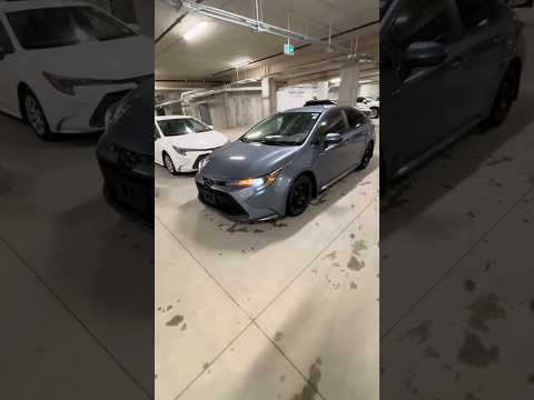 2022 Toyota Corolla in Gray for sale at North London Toyota in London, ON