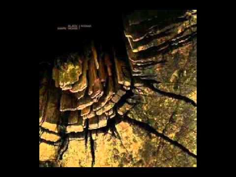 Town Of Machine - Kodiak - Black Shape Of Nexus Kodiak Split - 2010