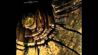 Town Of Machine - Kodiak - Black Shape Of Nexus Kodiak Split - 2010
