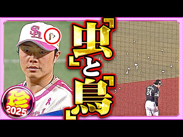 【奴らは、そう】虫と鳥と鳥と虫と虫と鳥【珍プレー2025】