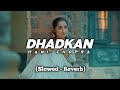 Dhadkan Mani Chopra Slowed Reverb Punjabi Song Lofi