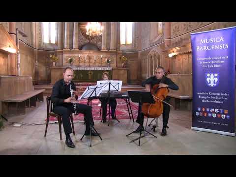 Musica Barcensis 2016 - Trio Dancu – Florescu – Fernandez - (Ghimbav)