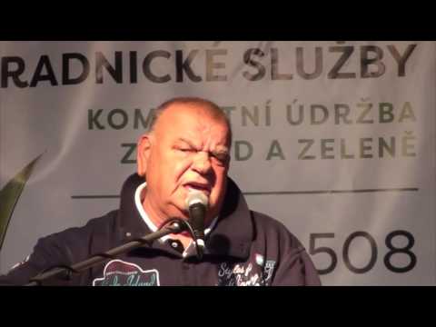 František Nedvěd