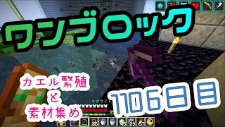 【１１０６日目】ワンブロックでハードコアな世界を生き残る