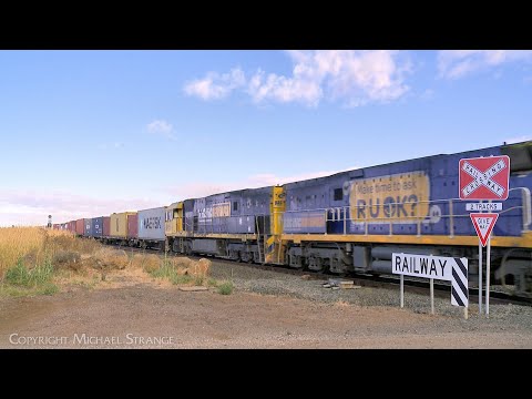 NR52 "R U OK?" Leads 2AM5 Pacific National Container Train (31/1/2023) - PoathTV Australian Railways