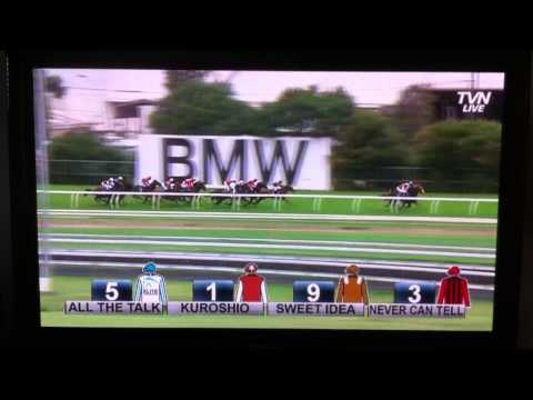 Charlie Boy - Silver Slipper 2013