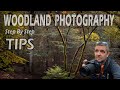 STEP BY STEP TIPS ON WOODLAND PHOTOGRAPHY | LANDSCAPE PHOTOGRAPHY | NEW FOREST