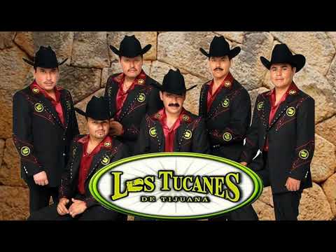Los Tucanes De Tijuana.Corridos A Quema Ropa –2021