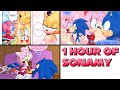 ONE HOUR of Sonamy - Sonic x Amy Comic Dub Compilation