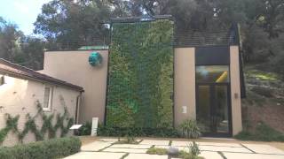 Vertical Gardens For Beauty And Fun