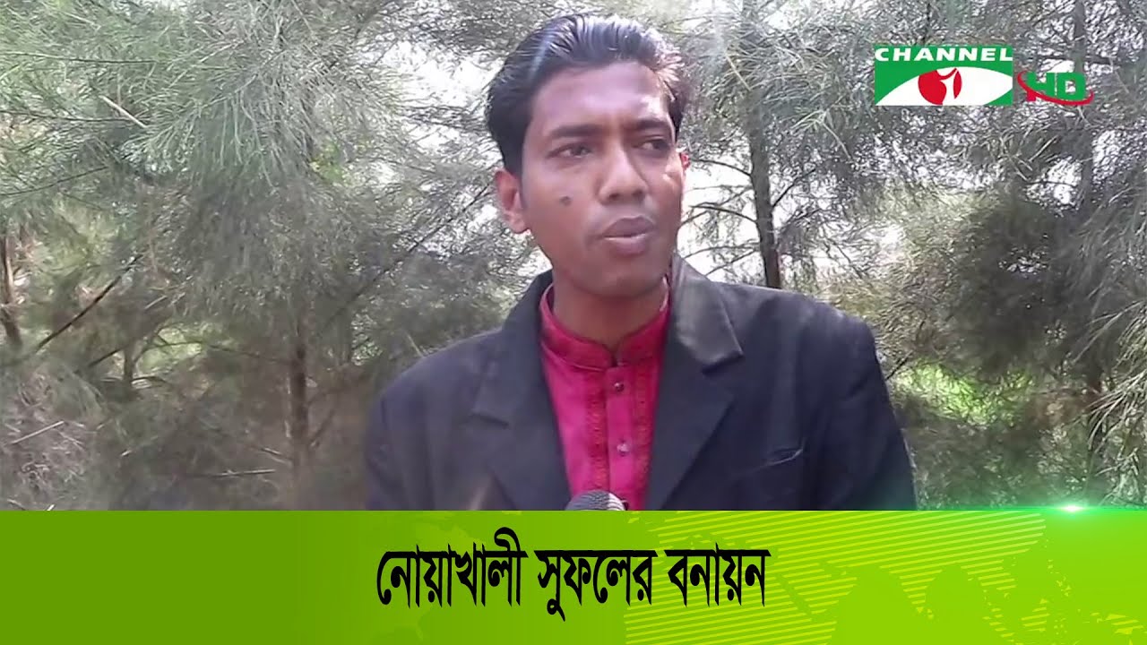 নোয়াখালী সুফলের বনায়ন