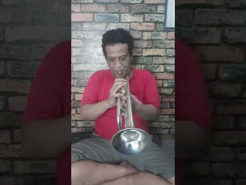 Boosey & Hawkes sovereign studio trumpet | Reverb