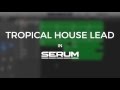 Tropical House Lead In Serum Kygo Style Lead Tutorial