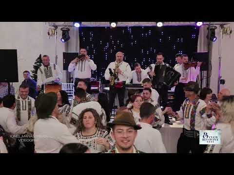 General Musik- instrumentală beton | nou 2025